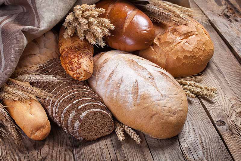 تاریخچه نان و انواع نان